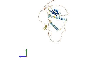 AlphaFold protein structure predicition of Mouse Recombinant Srek1 Protein, UniprotID Q8BZX4