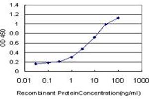 Detection limit for recombinant GST tagged KCNQ4 is approximately 1ng/ml as a capture antibody. (KCNQ4 anticorps  (AA 596-695))