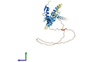 AlphaFold protein structure predicition of Human Recombinant XAF1 Protein, UniprotID Q6GPH4
