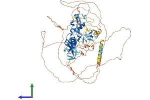 AlphaFold protein structure predicition of Mouse Recombinant Ablim1 Protein, UniprotID Q8K4G5