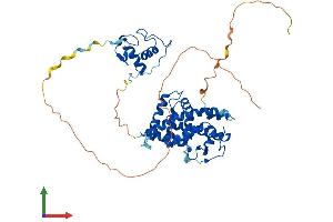 AlphaFold protein structure predicition of Human Recombinant RARG Protein, UniprotID P13631