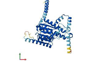 AlphaFold protein structure predicition of Human Recombinant RDH10 Protein, UniprotID Q8IZV5