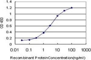 Detection limit for recombinant GST tagged ABL2 is approximately 0. (ABL2 anticorps  (AA 743-842))