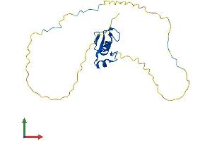 AlphaFold protein structure predicition of Mouse Recombinant Rnf4 Protein, UniprotID Q9QZS2