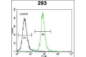 SOX2 Antibody f flow cytometric analysis of 293 cells (right histogram) compared to a negative control cell (left histogram).