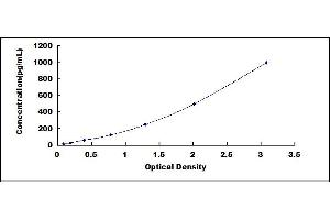 ELISA image for Nitric Oxide Synthase 2, Inducible (NOS2) ELISA Kit (ABIN4947903)