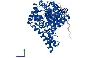 AlphaFold protein structure predicition of Human Recombinant FADS3 Protein, UniprotID Q9Y5Q0