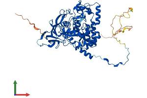 AlphaFold protein structure predicition of Human Recombinant CRMP1 Protein, UniprotID Q14194