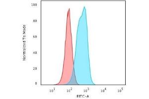 Flow Cytometric Analysis of RAW cells using Cytokeratin 6 Mouse Monoclonal Antibody (SPM269) followed by Goat anti-Mouse IgG-CF488 (Blue); Isotype Control (Red). (KRT6A/KRT6B/KRT6C (C-Term) anticorps)