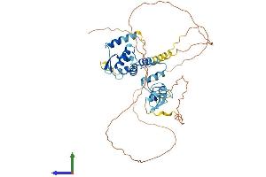 AlphaFold protein structure predicition of Human Recombinant ZBTB8A Protein, UniprotID Q96BR9
