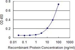 Detection limit for recombinant GST tagged ZSCAN12 is 1 ng/ml as a capture antibody. (ZSCAN12 anticorps  (AA 1-604))