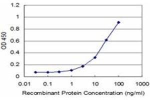 Detection limit for recombinant GST tagged RAB43 is approximately 1ng/ml as a capture antibody. (RAB43 anticorps  (AA 113-210))