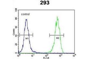 Flow cytometric analysis of 293 cells using PTK9L (arrow) using PTK9L Antibody (N-term) Cat. (TWF2 anticorps  (N-Term))