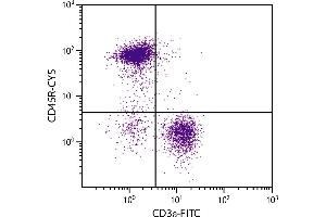 BALB/c mouse splenocytes were stained with Rat Anti-Mouse CD45R-CY5.