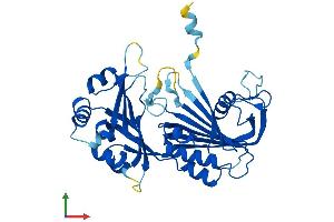 AlphaFold protein structure predicition of Mouse Recombinant Rpp40 Protein, UniprotID Q8R1F9