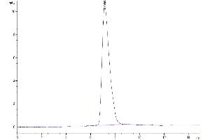 The purity of Biotinylated Mouse CX3CL1/Fractalkine is greater than 95 % as determined by SEC-HPLC.