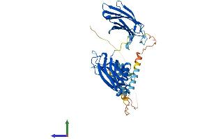 AlphaFold protein structure predicition of Mouse Recombinant Syt1 Protein, UniprotID P46096