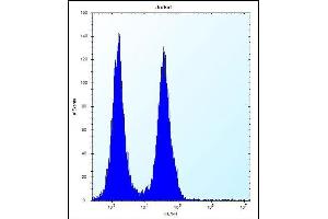 anti-Family with Sequence Similarity 8, Member A1 (FAM8A1) (AA 87-115), (N-Term) antibody