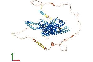 AlphaFold protein structure predicition of Mouse Recombinant Abcf1 Protein, UniprotID Q6P542