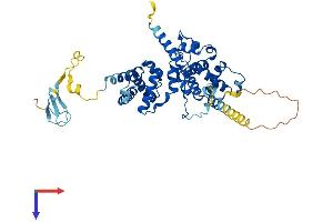 AlphaFold protein structure predicition of Mouse Recombinant Brf2 Protein, UniprotID Q3UAW9