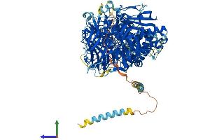 AlphaFold protein structure predicition of Mouse Recombinant Man2a1 Protein, UniprotID P27046