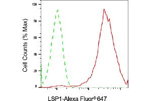 anti-Lymphocyte-Specific Protein 1 (LSP1) antibody