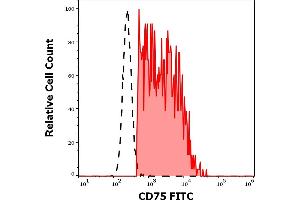 Separation of human CD75 positive lymphocytes (red-filled) from neutrophil granulocytes (black-dashed) in flow cytometry analysis (surface staining) of human peripheral whole blood stained using anti-human CD75 (LN1) PE antibody (4 μL reagent / 100 μL of peripheral whole blood).
