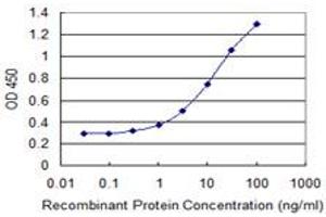 Detection limit for recombinant GST tagged RBM15 is 0.