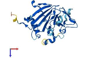 AlphaFold protein structure predicition of Mouse Recombinant Alkbh6 Protein, UniprotID Q8K2U2