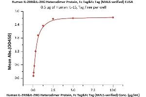 IL-2 R beta & IL-2 R gamma (AA 27-239) (Active) protein (Fc Tag)