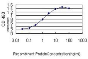 Detection limit for recombinant GST tagged UBE2H is approximately 0. (UBE2H anticorps  (AA 1-183))