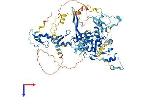 AlphaFold protein structure predicition of Mouse Recombinant Fbxo40 Protein, UniprotID P62932