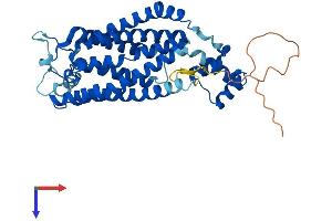 AlphaFold protein structure predicition of Mouse Recombinant Cers2 Protein, UniprotID Q924Z4