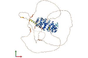 AlphaFold protein structure predicition of Human Recombinant ARMCX2 Protein, UniprotID Q7L311