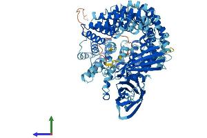 AlphaFold protein structure predicition of Mouse Recombinant Copg1 Protein, UniprotID Q9QZE5
