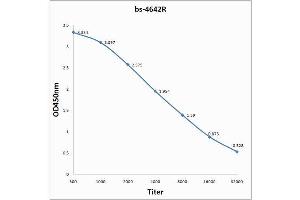 Antigen: 0. (Krv-Vp1/Krv-Vp2 (AA 501-582) anticorps)