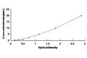 Transcription Factor E3 (TFE3) ELISA Kit
