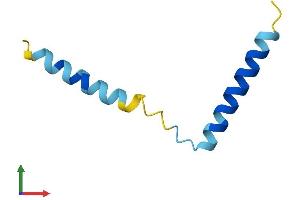 AlphaFold protein structure predicition of Mouse Recombinant Serf2 Protein, UniprotID P84102