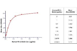 BINDING OF BIOTINYLATED HUMAN PD-1 TO IMMOBILIZED HUMAN PD-L1 IN A FUNCTIONAL ELISA ASSAY (PD-L1 Inhibitor Screening ELISA Kit)