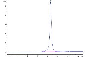 The purity of Biotinylated Human CD36 is greater than 95 % as determined by SEC-HPLC. (CD36 Protein (CD36) (AA 30-439) (His-Avi Tag,Biotin))