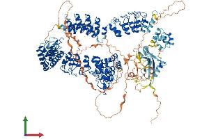 AlphaFold protein structure predicition of Mouse Recombinant Tnks Protein, UniprotID Q6PFX9