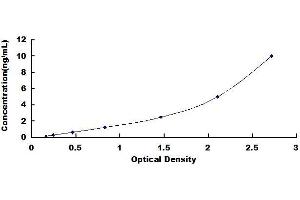 Typical standard curve (SCG3 Kit ELISA)