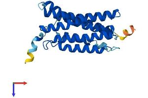 AlphaFold protein structure predicition of Human Recombinant MMD Protein, UniprotID Q15546