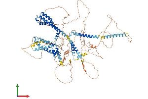 AlphaFold protein structure predicition of Mouse Recombinant Kcnq5 Protein, UniprotID Q9JK45