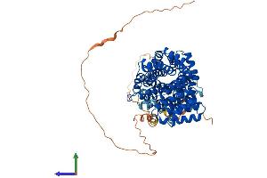 AlphaFold protein structure predicition of Human Recombinant TTC39B Protein, UniprotID Q5VTQ0