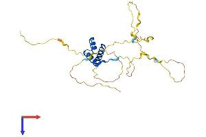 AlphaFold protein structure predicition of Mouse Recombinant Gsx1 Protein, UniprotID P31315