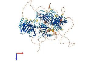 AlphaFold protein structure predicition of Human Recombinant PITPNM1 Protein, UniprotID O00562