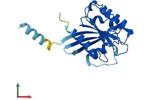 AlphaFold protein structure predicition of Human Recombinant ARL8B Protein, UniprotID Q9NVJ2