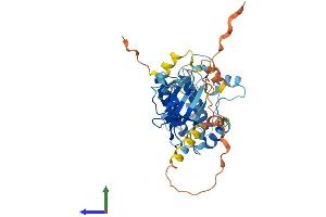 AlphaFold protein structure predicition of Human Recombinant CAMK1 Protein, UniprotID Q14012