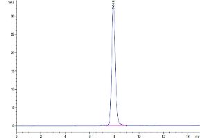 The purity of Mouse RNF43 is greater than 95 % as determined by SEC-HPLC.